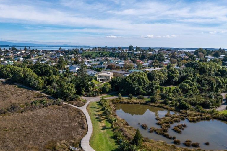 Photo of property in 56 Hall Road, Matua, Tauranga, 3110