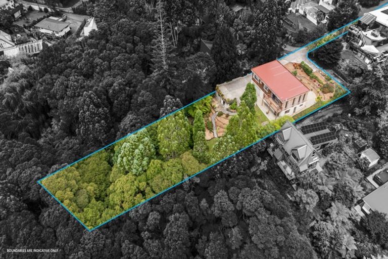 Photo of property in 67 Daffodil Street, Titirangi, Auckland, 0604