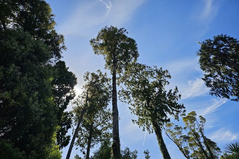 Photo of property in 215 Clifton Road, Kaiata, Greymouth, 7805