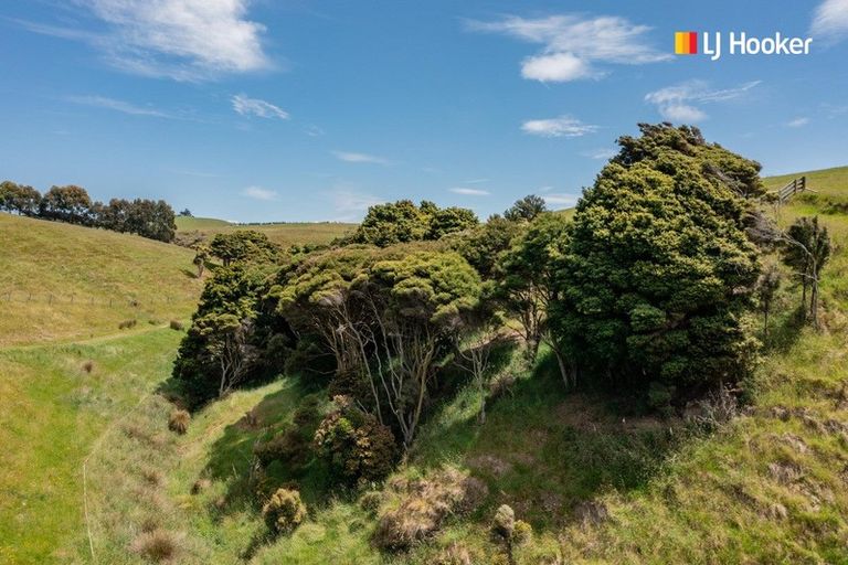 Photo of property in 966 Taieri Mouth Road, Kuri Bush, Brighton, 9091