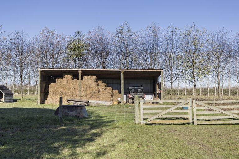 Photo of property in 220 Hilderthorpe Road, Hilderthorpe, Oamaru, 9493