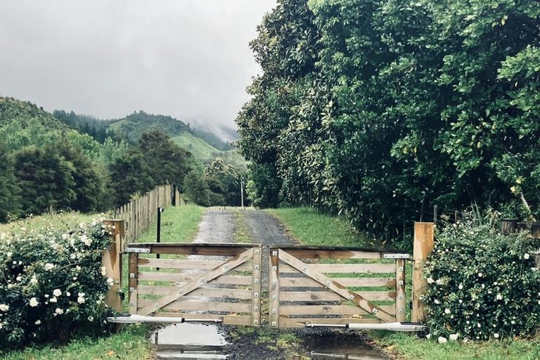 Photo of property in 387 Wentworth Valley Road, Whangamata, 3691