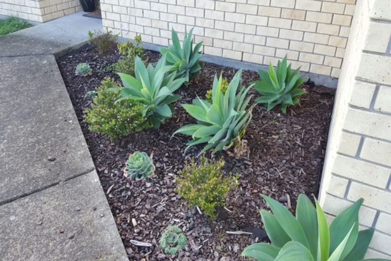 Photo of property in 42 Robin Brooke Drive, Flat Bush, Auckland, 2019