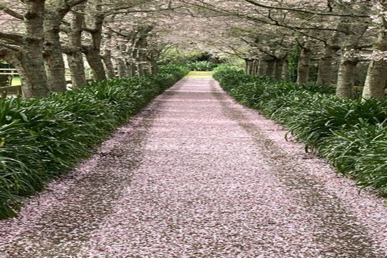 Photo of property in 125 Matangi Road, Matangi, Hamilton, 3284