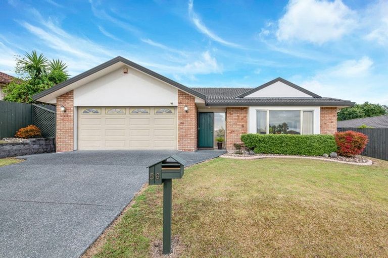 Photo of property in 56 Highfields Terrace, Henderson, Auckland, 0612