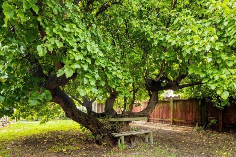 Photo of property in 93a Scott Street, Blenheim, 7201