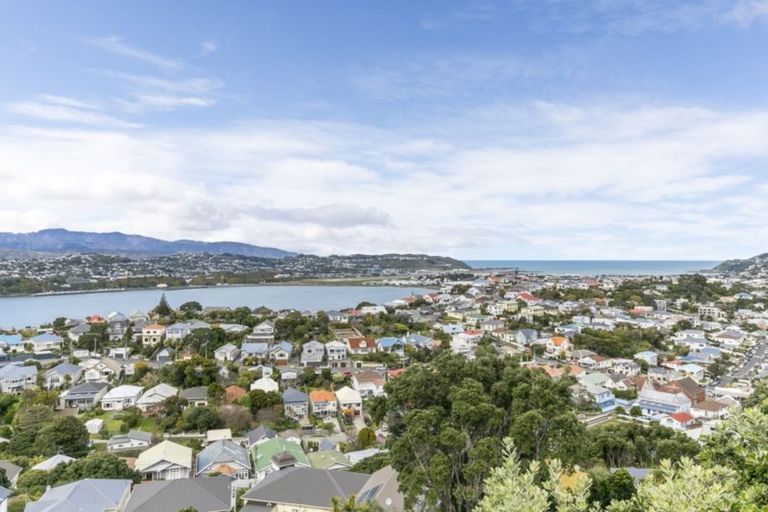 Photo of property in 95 Rakau Road, Hataitai, Wellington, 6021