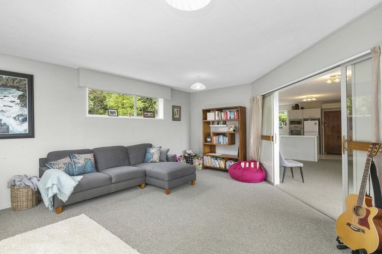 Photo of property in 33 Elliffe Place, Shiel Hill, Dunedin, 9013