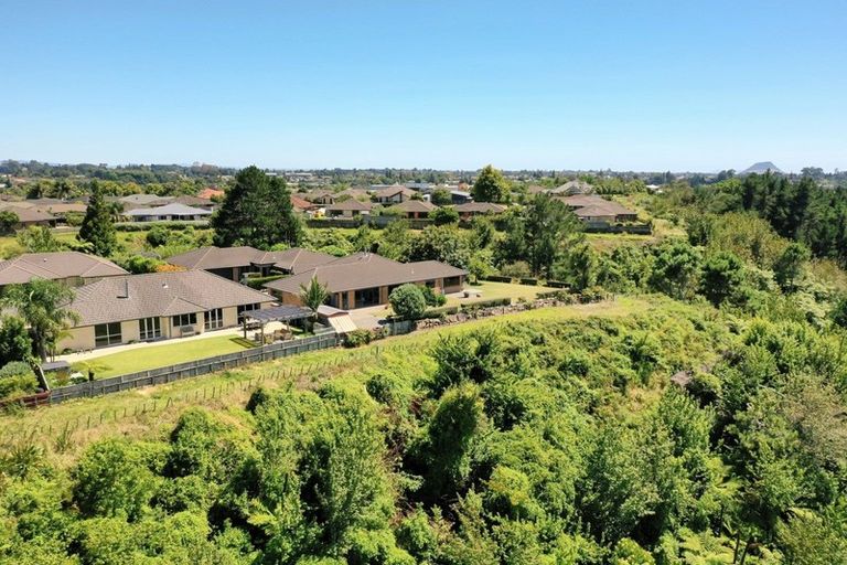 Photo of property in 38 Kereru Place, Pyes Pa, Tauranga, 3112