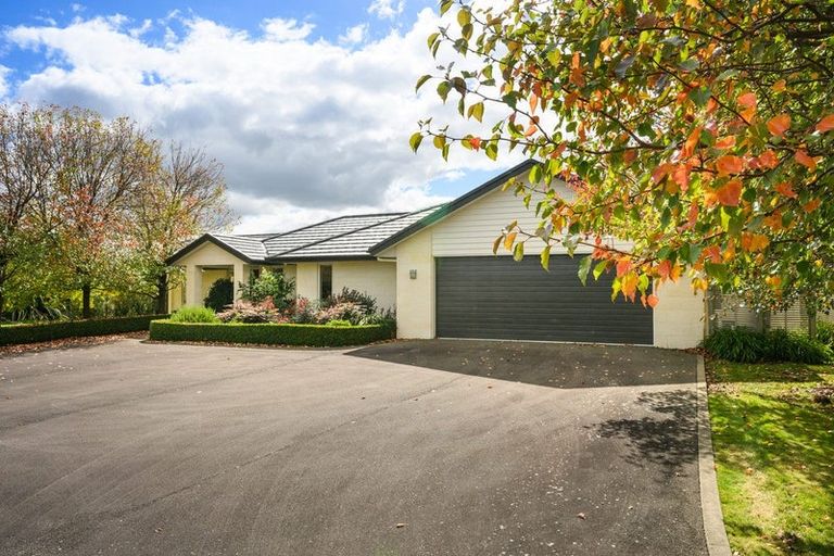 Photo of property in 105 Pharazyn Street, Feilding, 4702