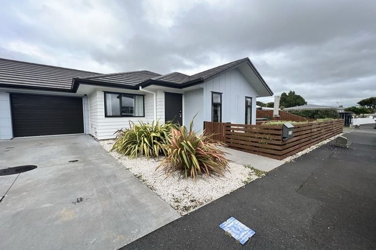 Photo of property in 3 Walker Terrace, Dinsdale, Hamilton, 3204