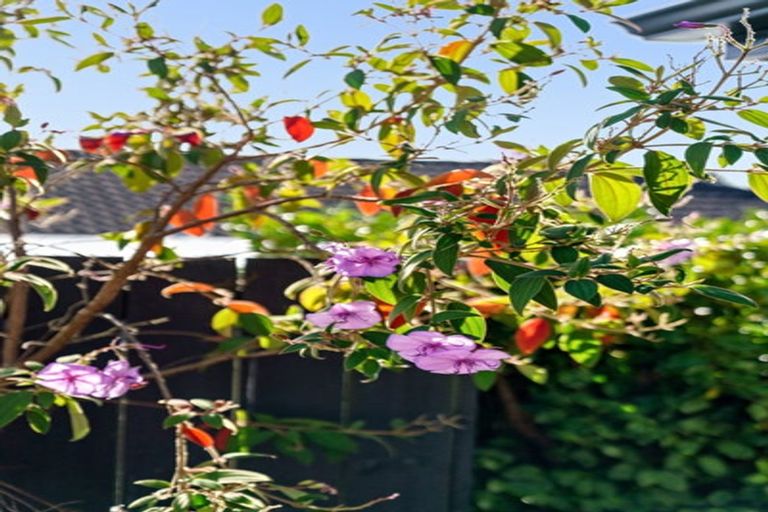 Photo of property in 11 Bernies Way, Ohauiti, Tauranga, 3112