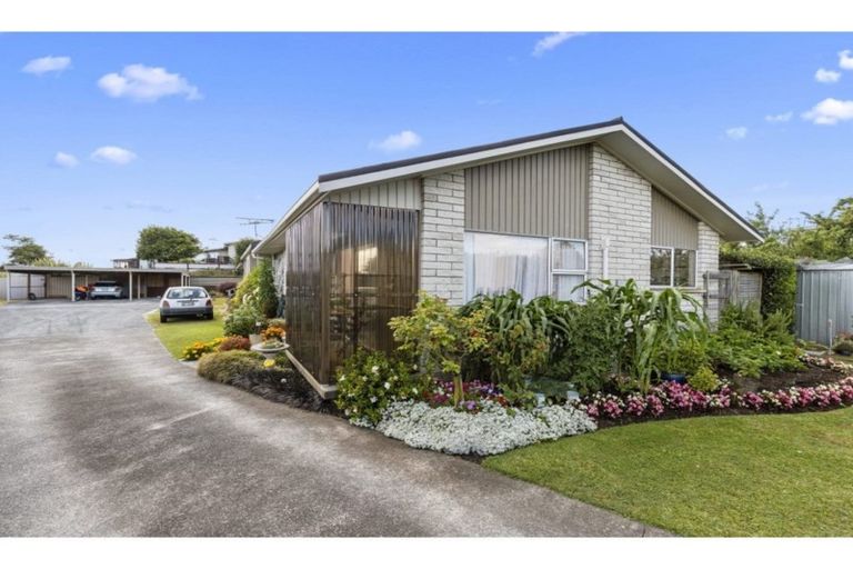 Photo of property in 1/196 Williams Street, Te Awamutu, 3800