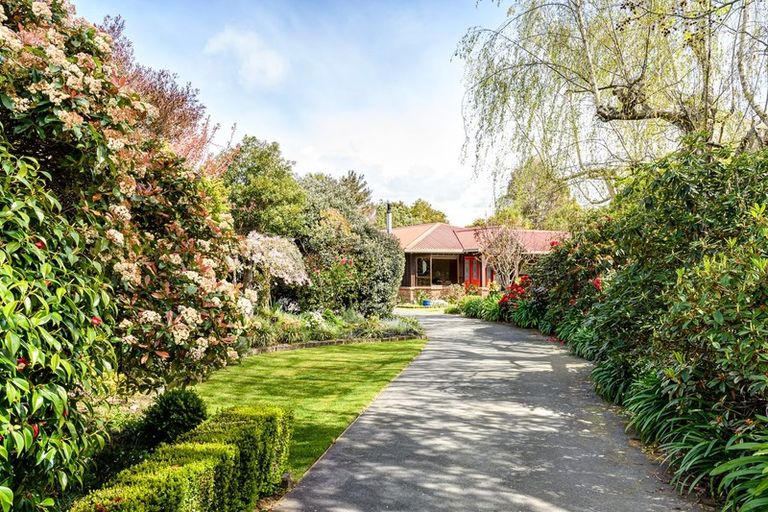 Photo of property in 216 Thorp Street, Motueka, 7120