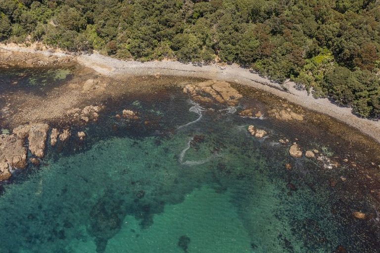 Photo of property in 595 Boat Harbour Road, Whenuakite, Whitianga, 3591