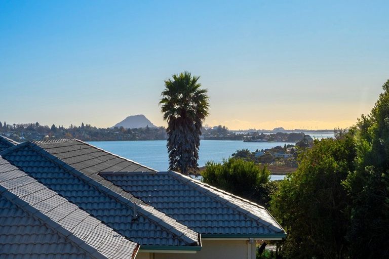 Photo of property in 44 Diamond Head, Hairini, Tauranga, 3112