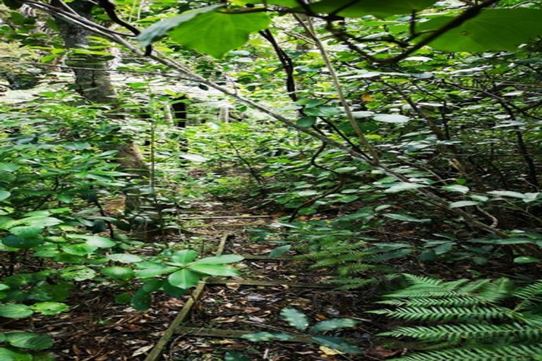 Photo of property in 26 Pacific Bay Road, Tutukaka, Whangarei, 0173