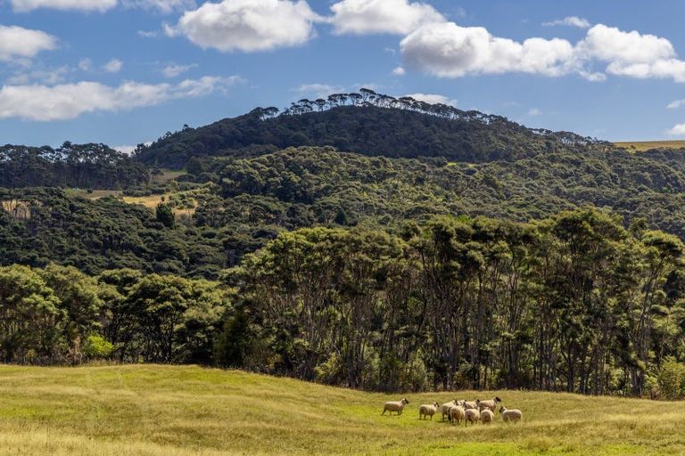 Photo of property in 1223 Old North Road, Helensville, 0875