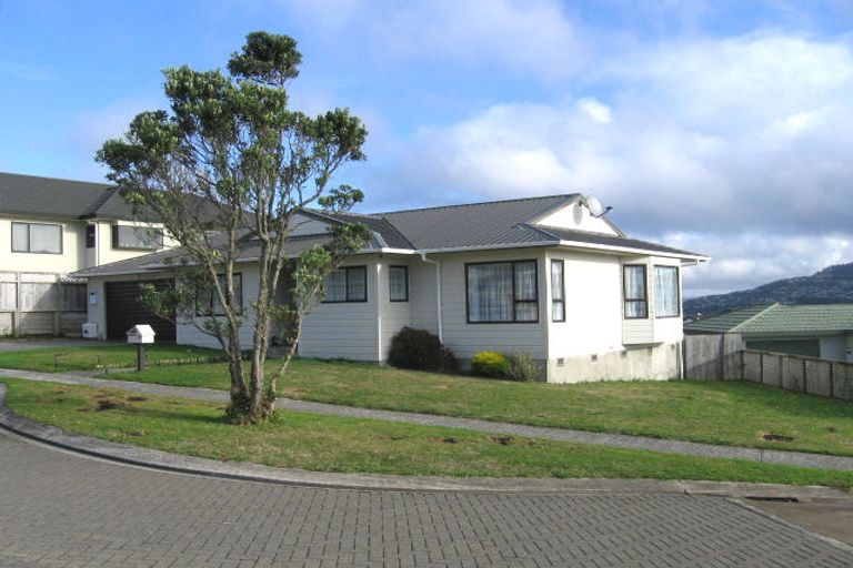 Photo of property in 25 Pelorous Street, Paparangi, Wellington, 6037