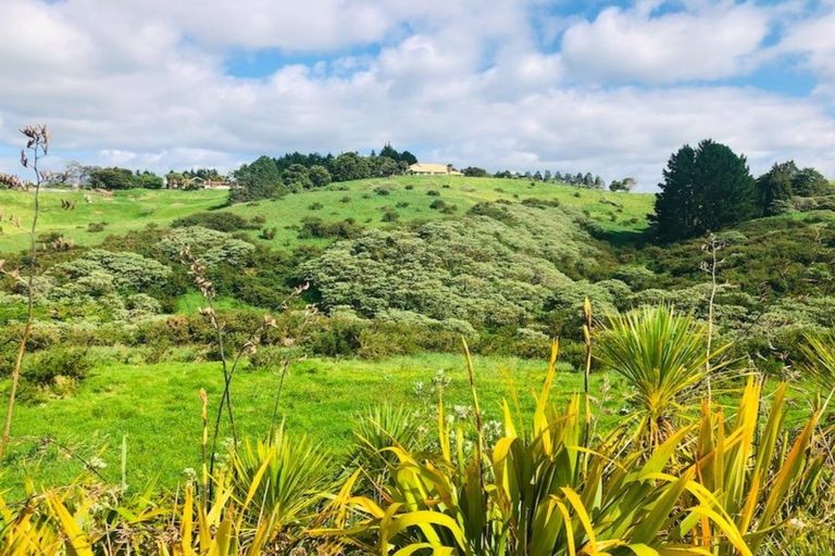 Photo of property in 30 Boocock Crescent, Orewa, 0931