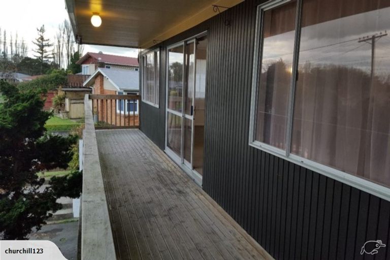 Photo of property in 133 Fitzroy Avenue, Fitzroy, Hamilton, 3206