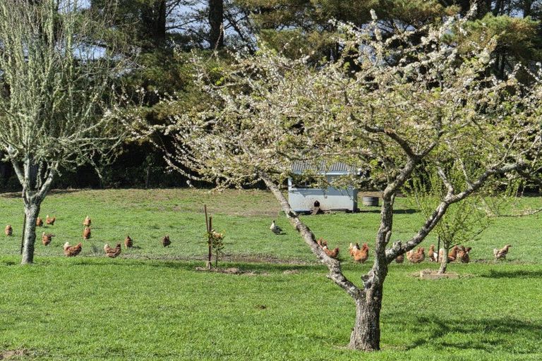 Photo of property in 387 Camerons Road, Marsden, Greymouth, 7805