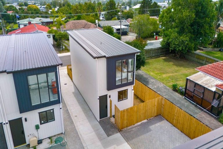 Photo of property in 20a Fairdene Avenue, Henderson, Auckland, 0610