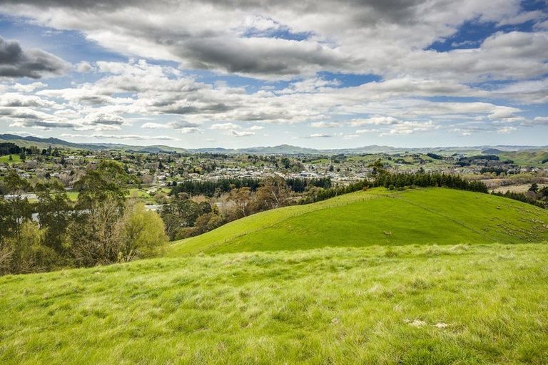 Photo of property in 210 Ongaonga Road, Waipawa, 4272