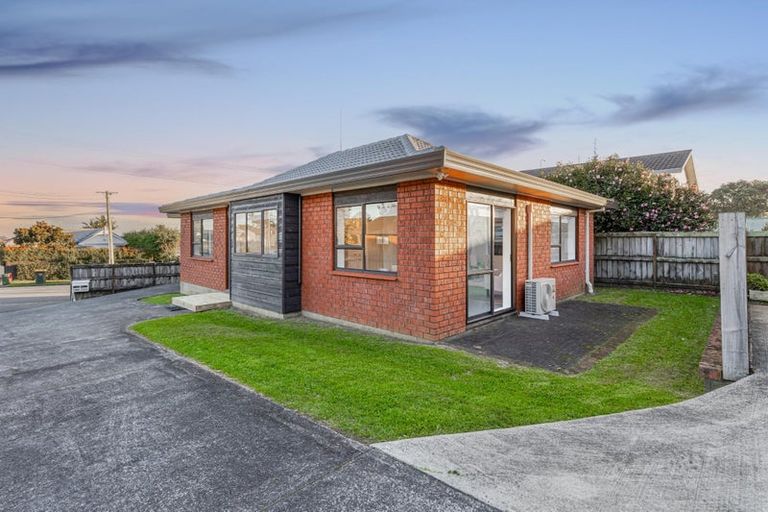 Photo of property in 24a New Windsor Road, Avondale, Auckland, 0600