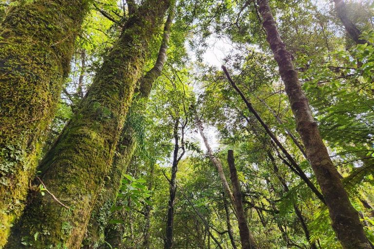 Photo of property in 692 Rutherglen Road, Marsden, Greymouth, 7872