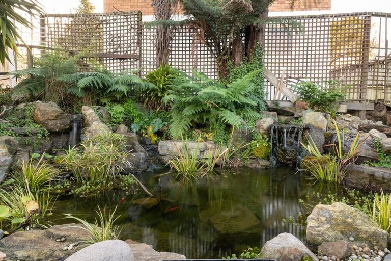 Photo of property in 6b The Drive, Brookfield, Tauranga, 3110