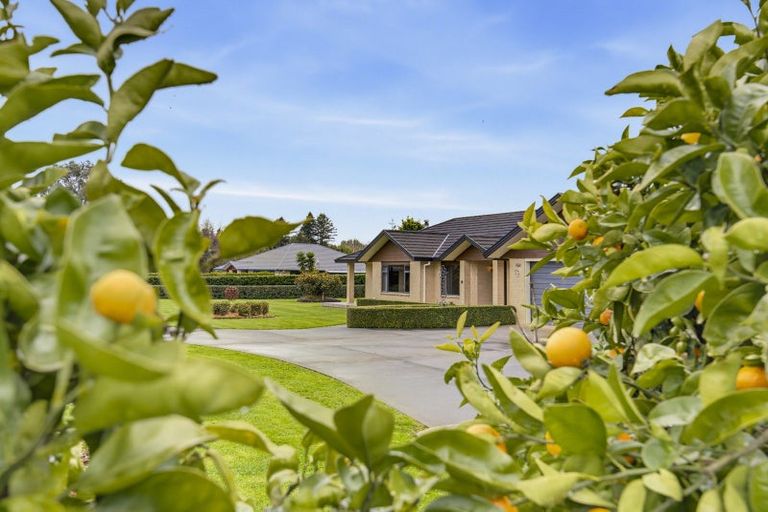 Photo of property in 53 Pohutukawa Drive, Levin, 5571