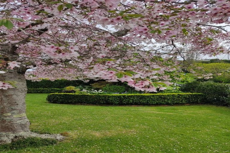 Photo of property in 113 Parawai Road, Thames, 3500