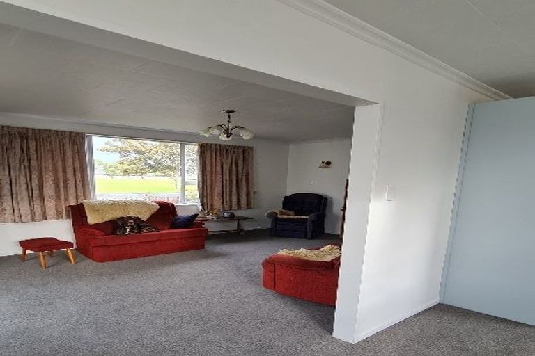 Photo of property in 13a Helena Street, Forbury, Dunedin, 9012