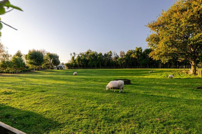 Photo of property in 6 Glasgow Street, Pahiatua, 4910