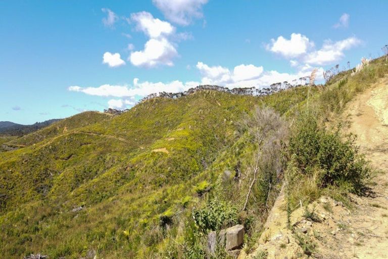 Photo of property in 478 Port Charles Road, Waikawau, Coromandel, 3584