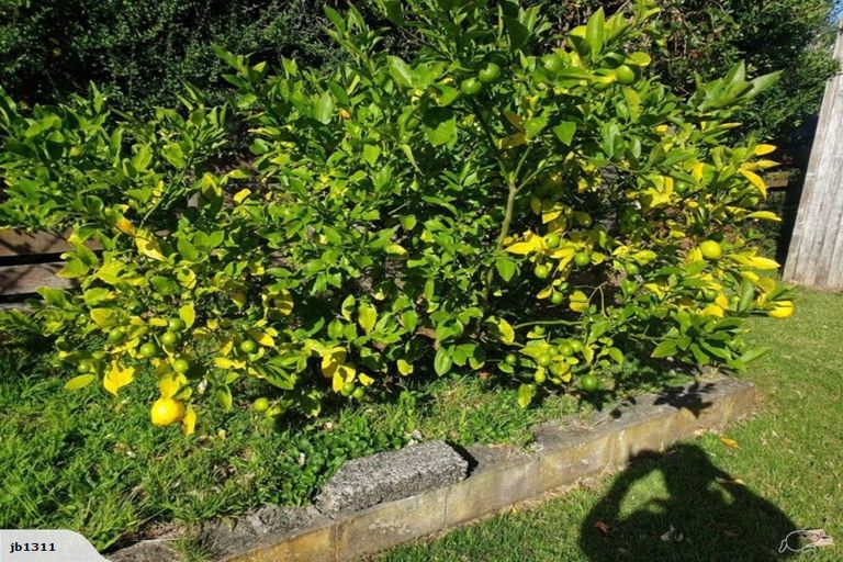 Photo of property in 32 Resolute Way, Papakura, 2110