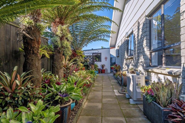 Photo of property in 12b Hikurangi Street, Whakatane, 3120