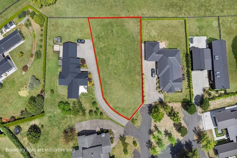 Photo of property in 7 Danehill Close, Matamata, 3400