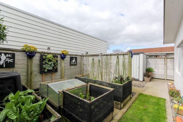 Photo of property in 149a Carrington Street, Lower Vogeltown, New Plymouth, 4310