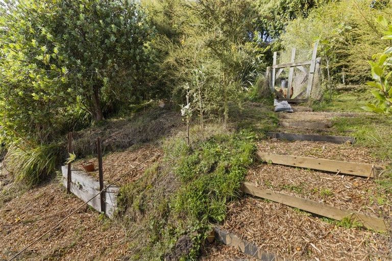 Photo of property in 54 Rhodes Terrace, North East Valley, Dunedin, 9010