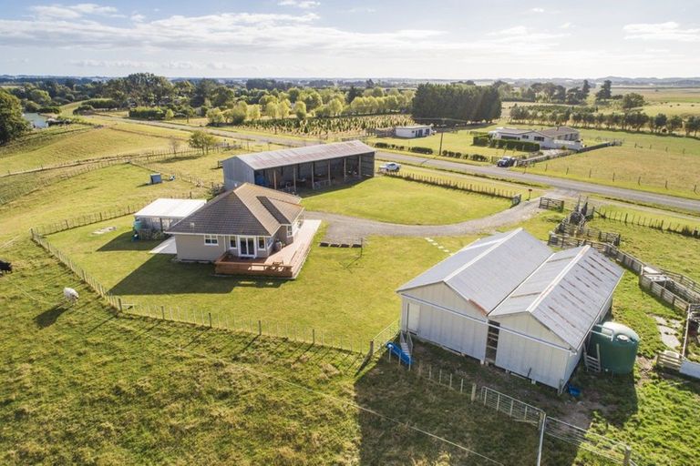 Photo of property in 106 Cemetery Road, Sanson, Palmerston North, 4479