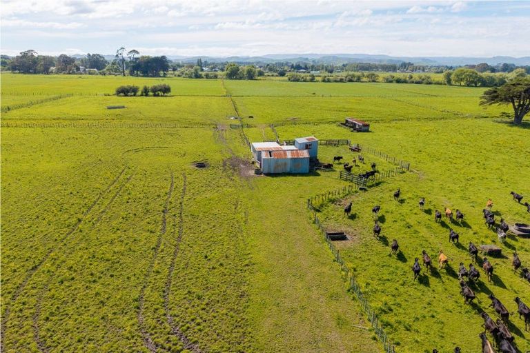 Photo of property in 29 Troup Road, Woodville, 4920