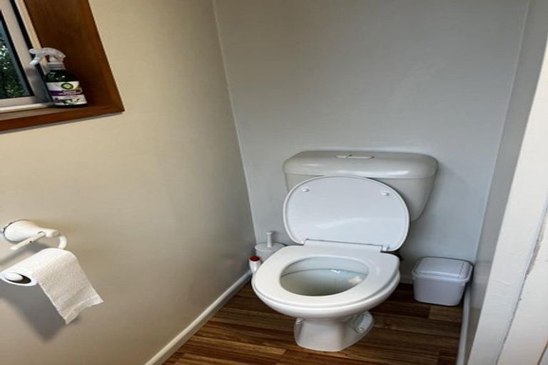 Photo of property in 56 Ravenswood Road, Saint Clair, Dunedin, 9012