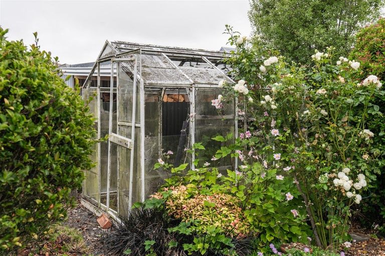 Photo of property in 14b Ossian Street, Milton, 9220