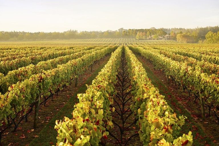 Photo of property in 138 Taupaki Road, Taupaki, 0782