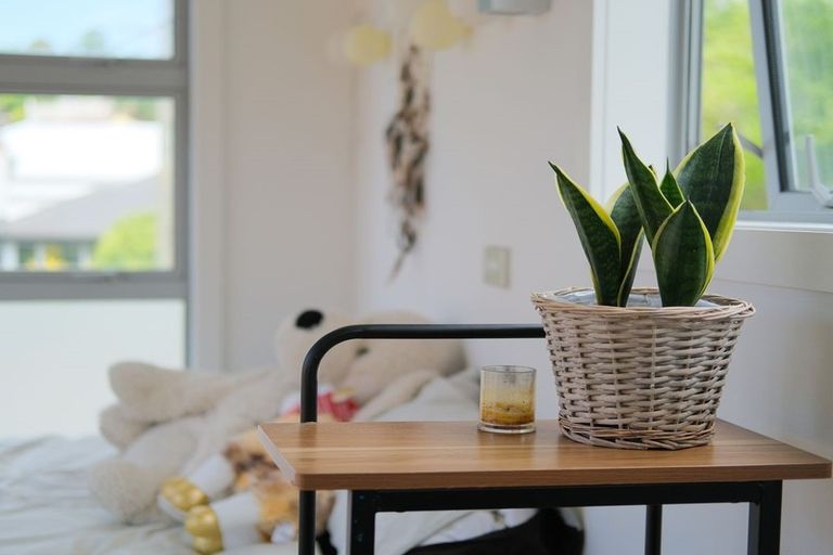 Photo of property in 79 North Road, North East Valley, Dunedin, 9010