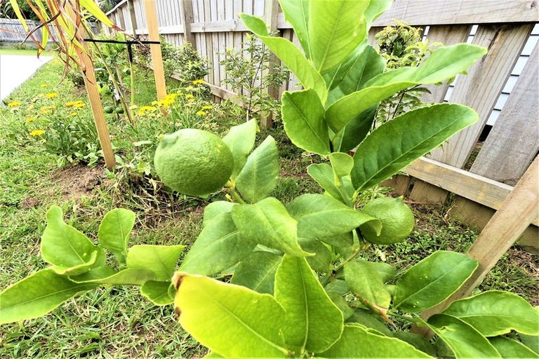 Photo of property in 9 Meenas Place, Cable Bay, 0420