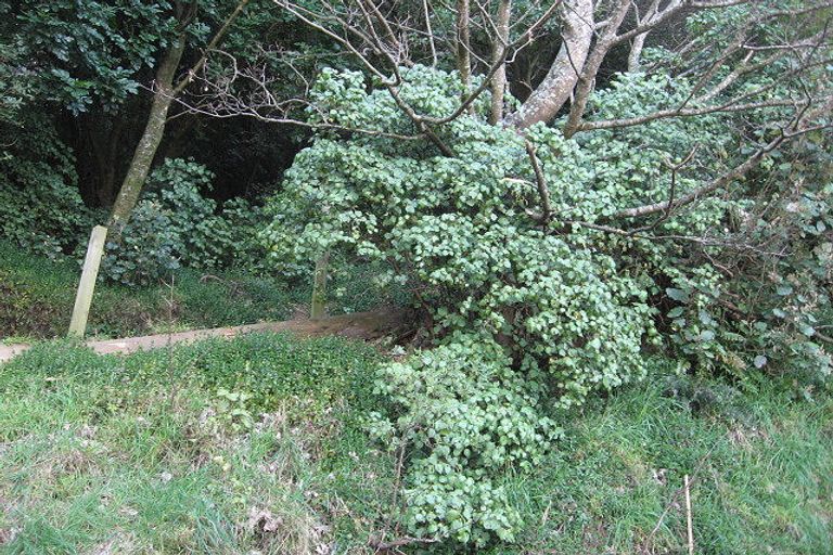 Photo of property in 65 Ngaio Gorge Road, Ngaio, Wellington, 6035