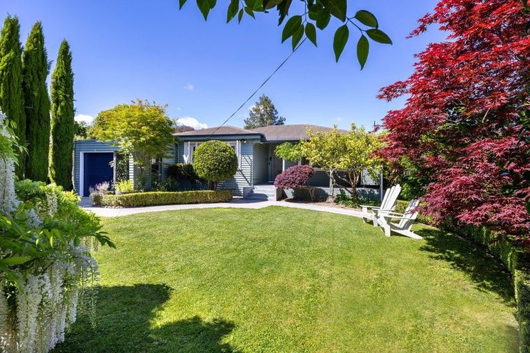 Photo of property in 11 Keats Terrace, Leamington, Cambridge, 3432